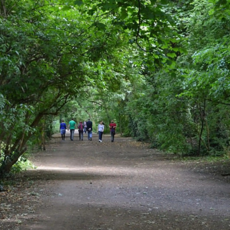 Parkland Walk